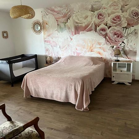 Saint-Appolinard  Chez Ghislaine 빌라 외부 사진